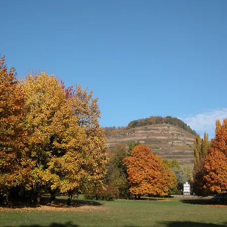 Domaine De Beaupre - The Originals Relais Hotel 3*