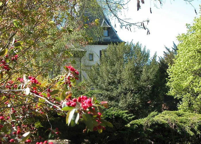 Domaine De Beaupre - Hotel The Originals Relais Guebwiller